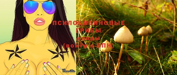 тгк Алзамай