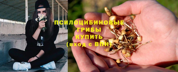 тгк Алзамай