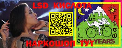 дмт Камышлов