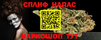 дмт Камышлов
