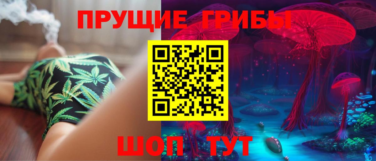 Псилоцибиновые грибы GOLDEN TEACHER Мичуринск